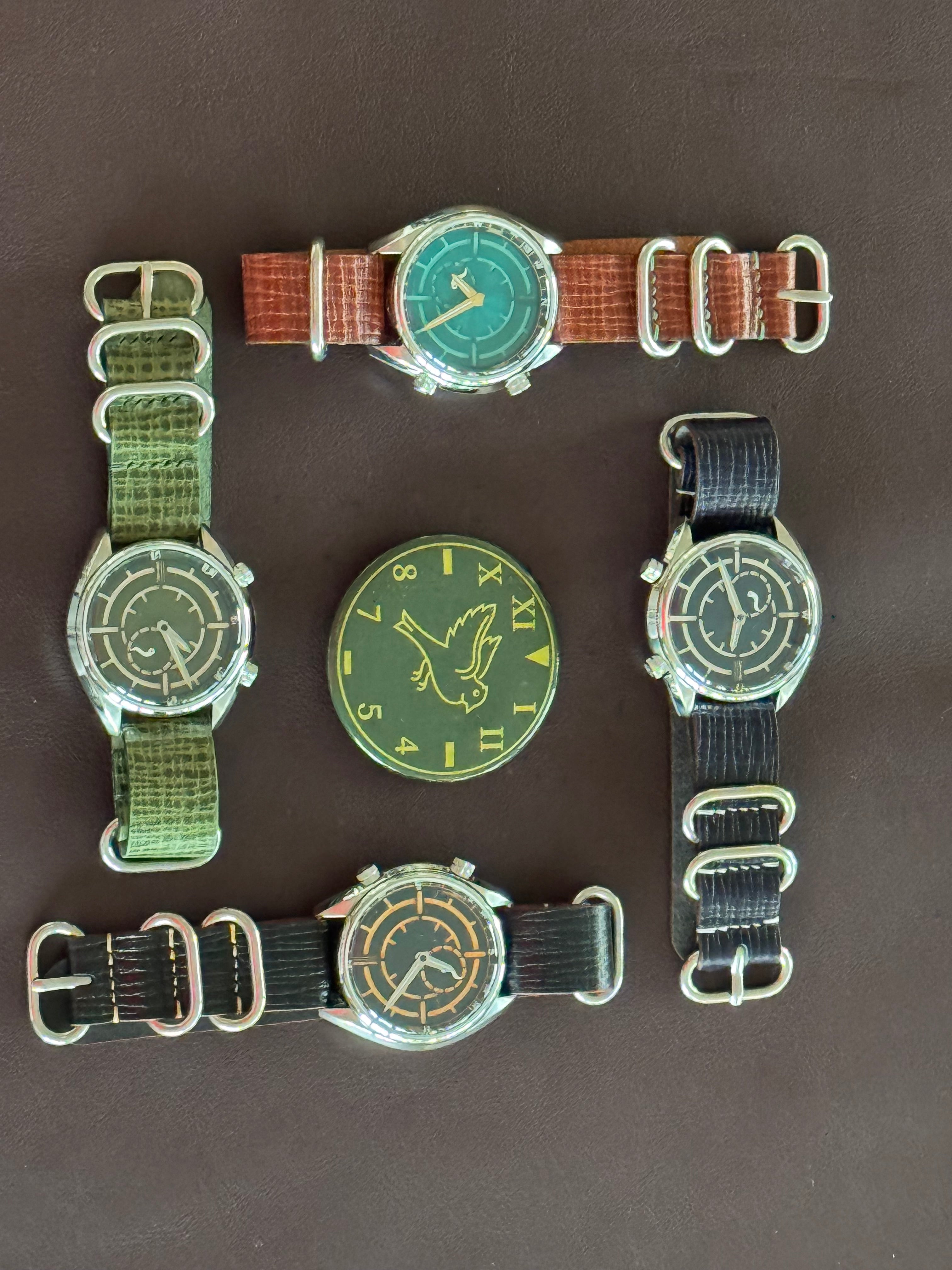 Feynman Fjorde — twin-crown field-diver with a built-in compass